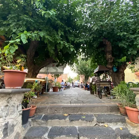 بيت للعطل Casa Flore أروسييْ